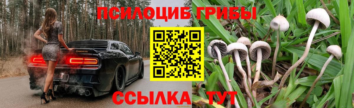 Псилоцибиновые грибы Psilocybine cubensis  Вход с VPN  Благовещенск 